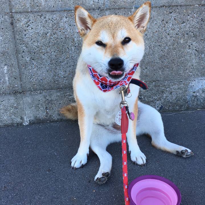 D7c76091 cf8e 4a6b b4ca 16ce8a5bbb06 1539321083250