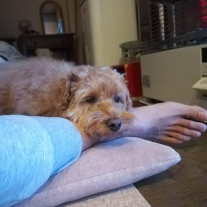 D7c79bf1 fa96 48df b50c 0e1a4ad963ea 1551594013635