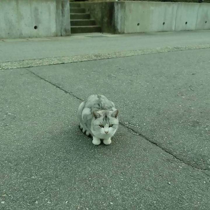 D7c7bb54 b915 41da 8f6f 466b9ad2dd2e 1542367504109