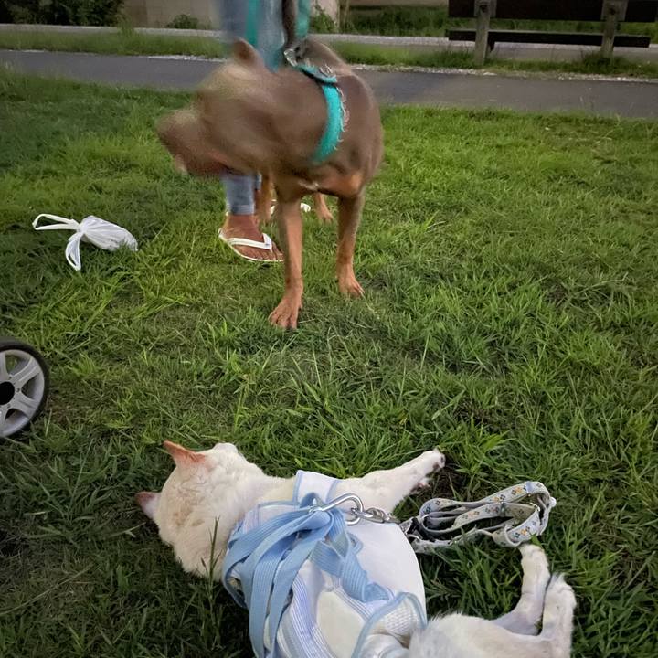 D7c7cd77 6d0d 48f3 b552 77c47c1ffc6e 1663470874060