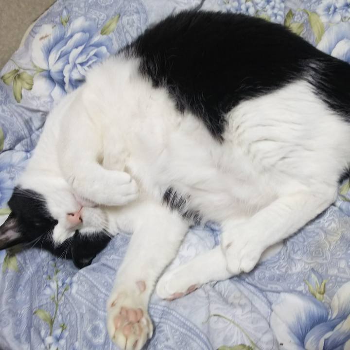 D7c81b20 0a36 4667 b442 0ca75557192a 1550303984094