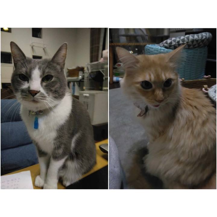 D7c83483 56da 47dd aa28 e2bdb836cc99 1704452537711