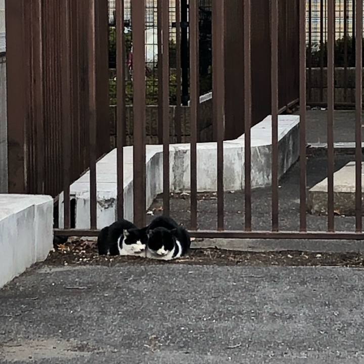 D7c8480a 3bf0 4aad ab10 c2491501f2a6 1610460994878