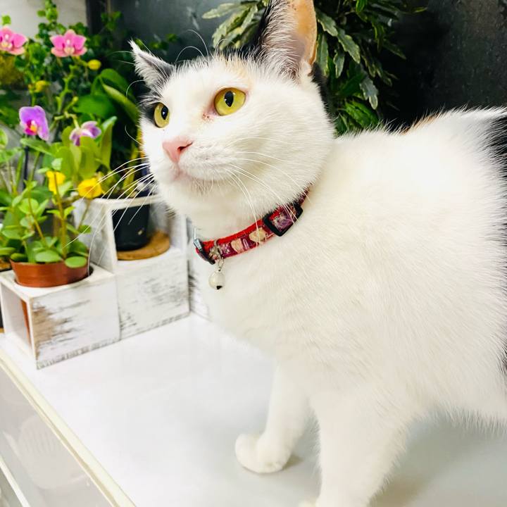 D7c84bc4 f6fa 44a9 8ff0 9d111150810e 1682249085427