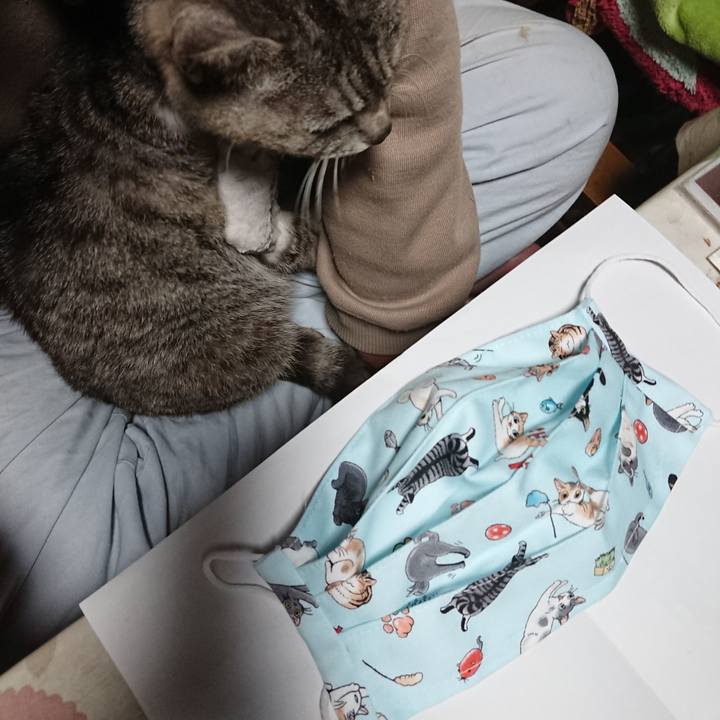 D7c84e3b a6b6 4db0 bfbf f2004c6c2cb3 1588746273811