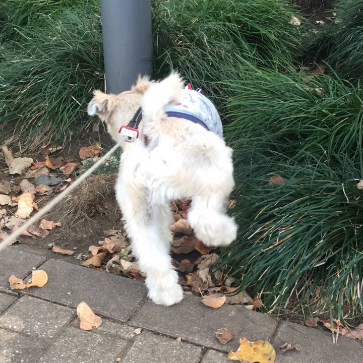 D7c8c1b4 2c22 4f37 b79d 39e928416737 1542802503446