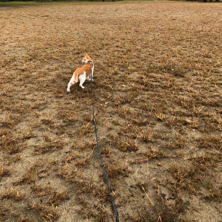 D7c8c8e3 717b 42bd a951 3207c77ce75a 1539238075095