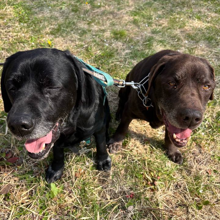 D7c90b65 3eb8 471f 8126 911f9f25beba 1774783908862