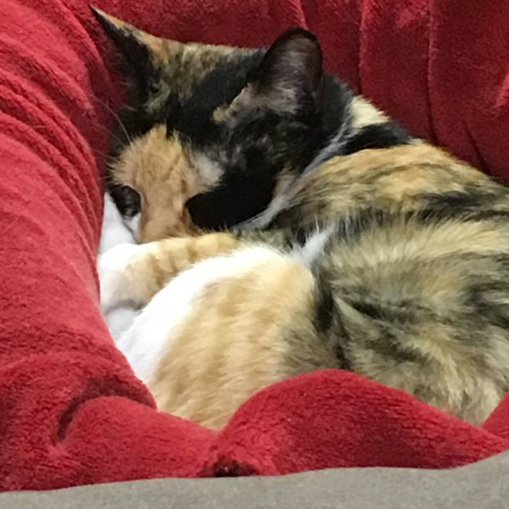 D7c90d03 fd96 4647 890e df2f098446f4 1522160633761