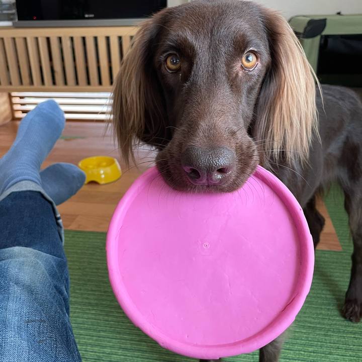 D7c913cf a2fc 4c94 a58c 93363c087620 1606348986272