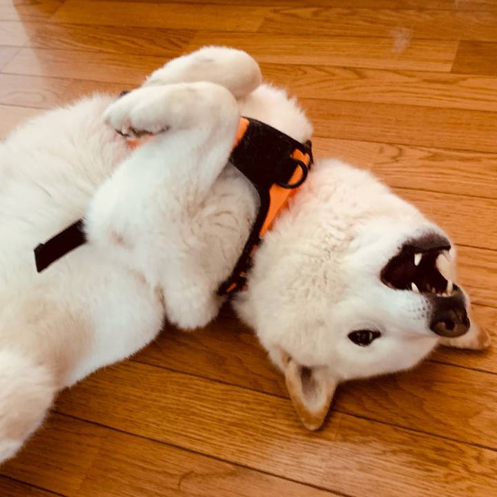 D7c97c8c 61c0 492f 8207 6df78a44817b 1649800816410