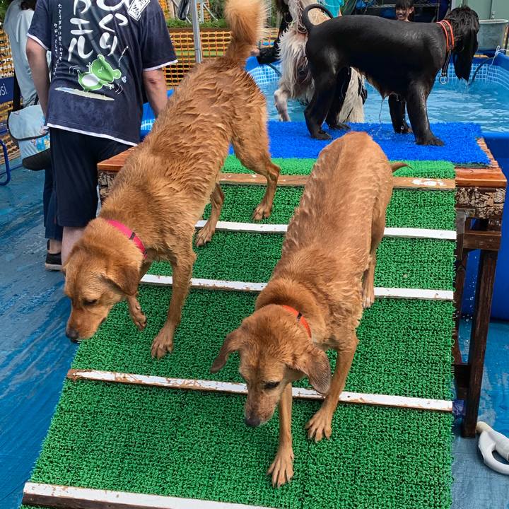 D7c98624 4927 4b9d bbb7 46f69d44c6c2 1566736783261