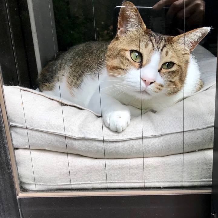 D7c9881e 4df1 4ca5 9532 810fbf96a3b9 1556930332919