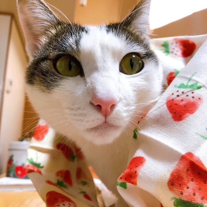 D7c98909 25fc 4a98 9ad9 b93fb9ed6d4a 1613887659003