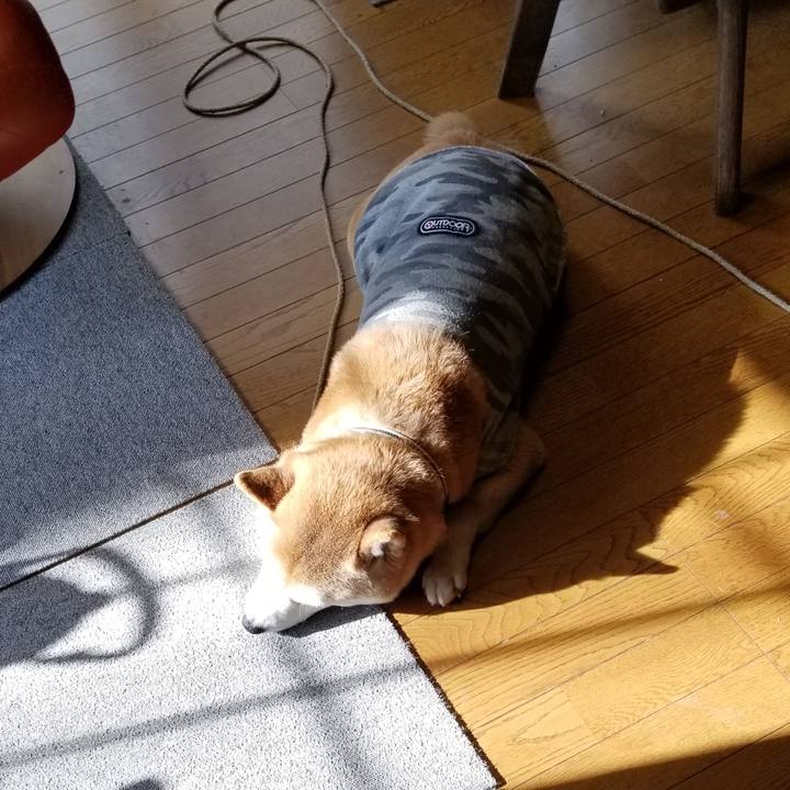 D7c9a6d0 1812 4f47 a363 8a457cb47456 1615764881167