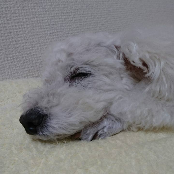 D7c9c9f4 acf4 44d2 9a06 a22614ff0fa2 1536756176029