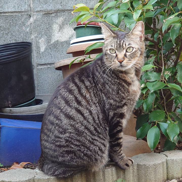 D7c9cbe1 4844 404a 93a7 9549405389c6 1615789616971