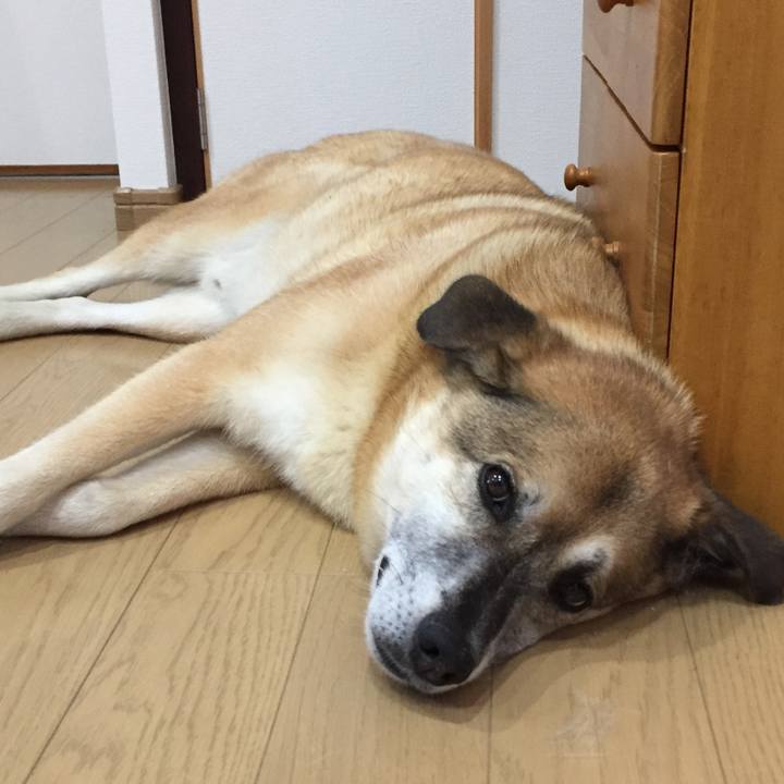 D7c9d92e 9ed3 48bb 8142 f3b523d3d6e0 1564965551748