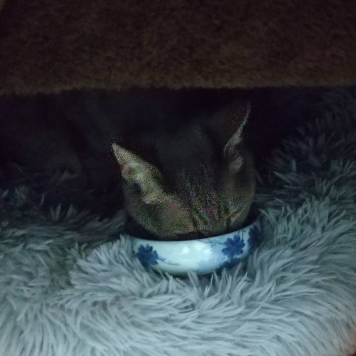 D7ca0992 a524 473b b9df 16564d448d78 1670276392500