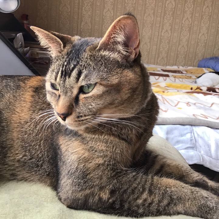 D7ca27a4 f00f 4c18 8b1b 3fe8ad1dad94 1649669693401