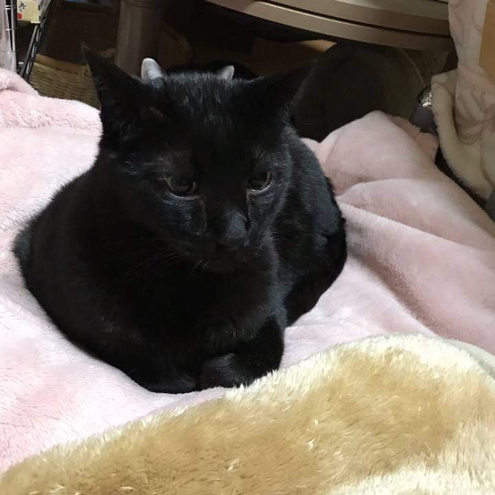 D7cac0c0 c832 4f22 beab c2019f85123f 1520817340819