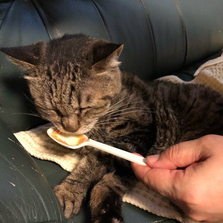 D7cb14da a187 464e a0c3 d38e33923a3d 1534070130729