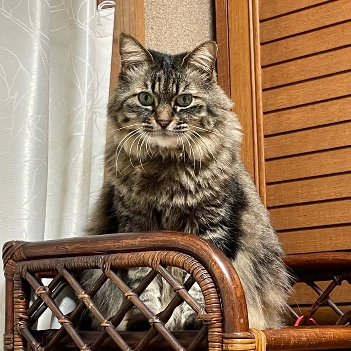 D7cb59b8 1ae6 4339 9742 4e11cf3bda2d 1746953477641