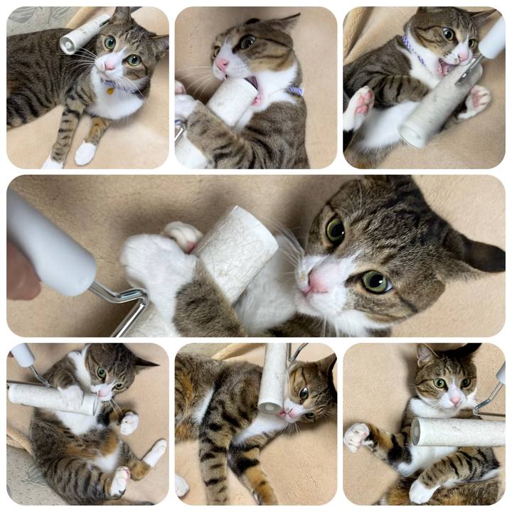 D7cb7765 c2ea 4cd9 9616 fb16f3f91520 1711357890467