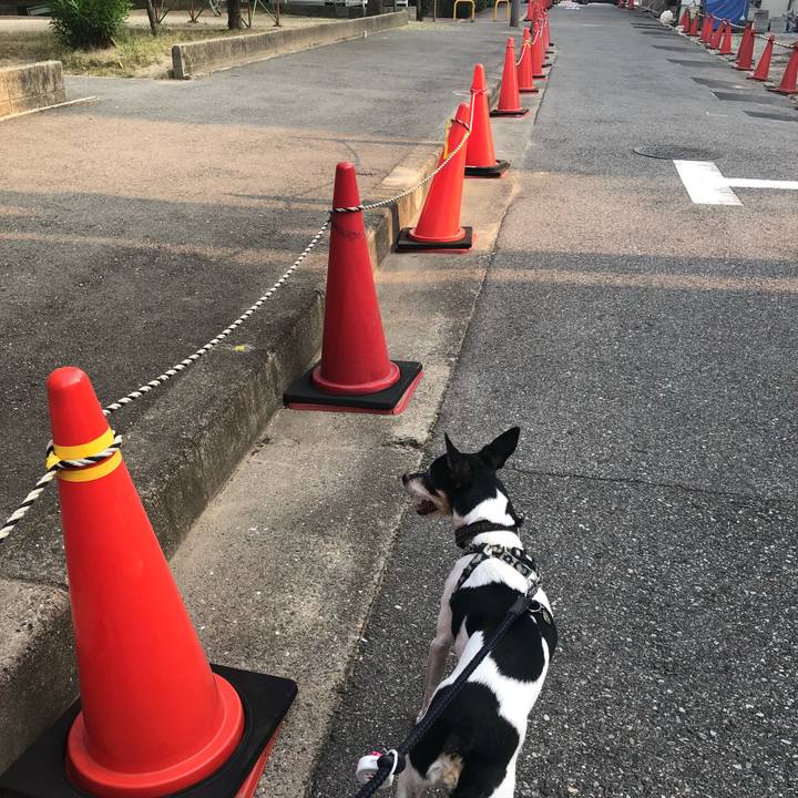 D7cbb503 be1b 4296 b5a7 7bd5460d041b 1531866748814