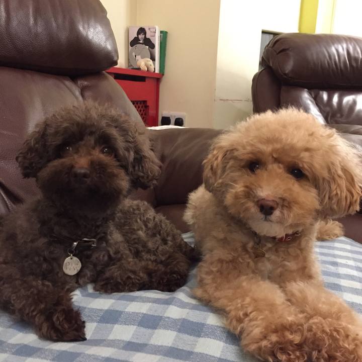 D7cbcd9d a426 4368 baaa afb8c64e9d07 1516486262930