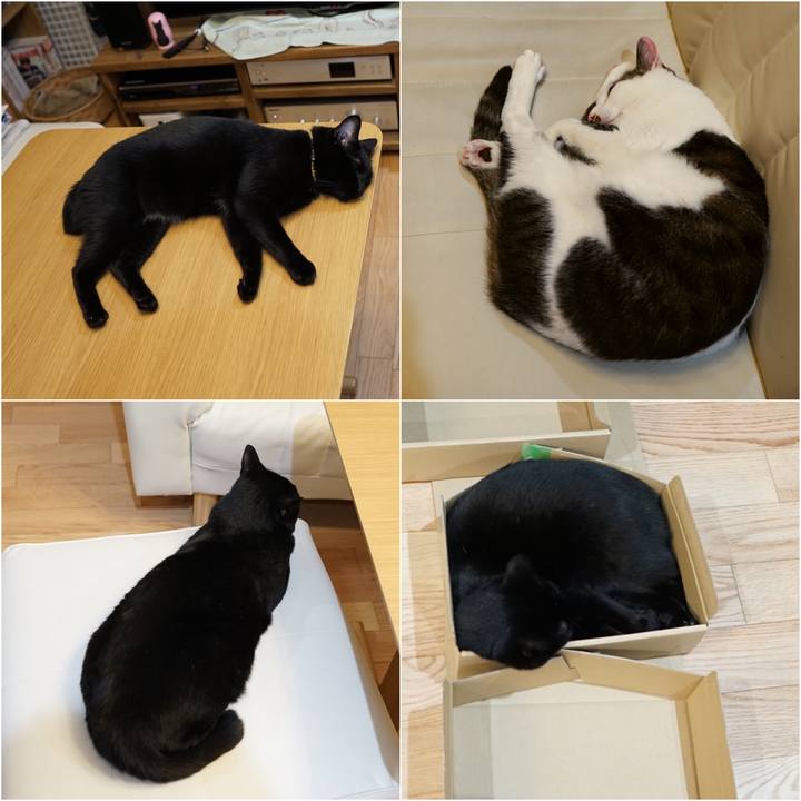 D7cc0209 3f78 4e97 912b 9c2d224cbf26 1559087507583