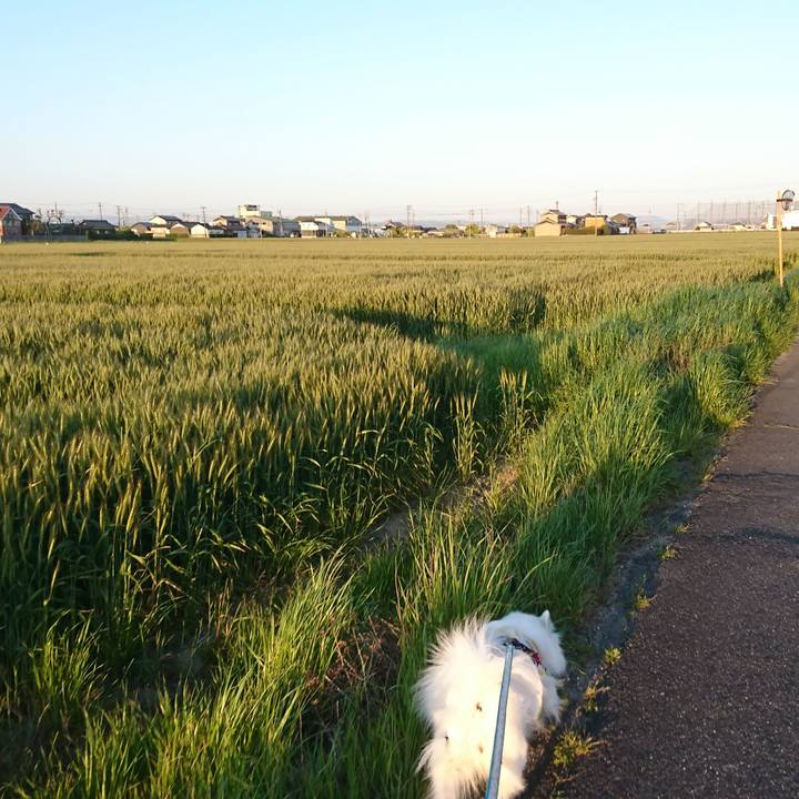 D7cc0ed4 48d8 4c10 b4df f2ef44d05815 1619348778276