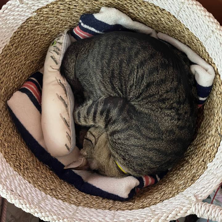 D7cc22c2 6857 4da4 b6a6 240b100c9f8e 1766817532922