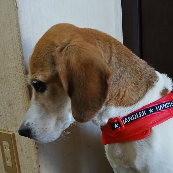 D7cc44ba 3c8f 4af3 af99 28a778245f32 1764037505256