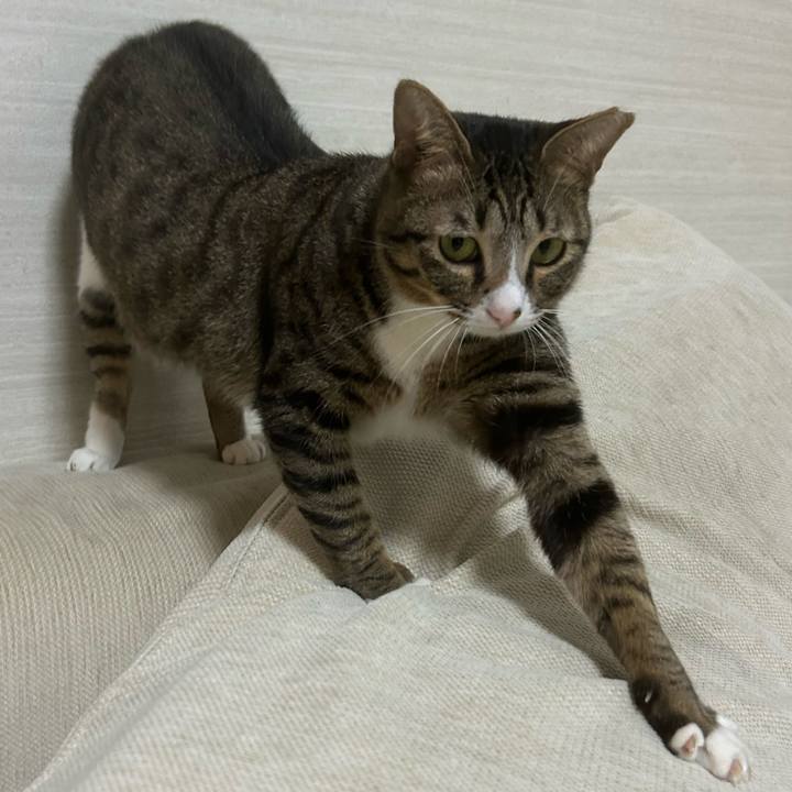 D7cc4906 fbe9 4557 832d 807e6b7984c3 1760530697713