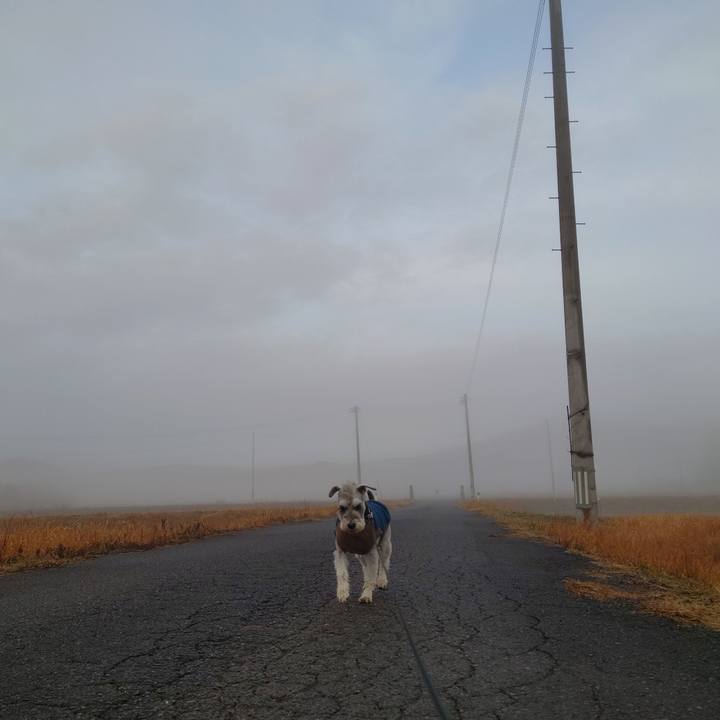 D7cc4ff6 100c 4f55 a5d5 c071141cba61 1766617586291