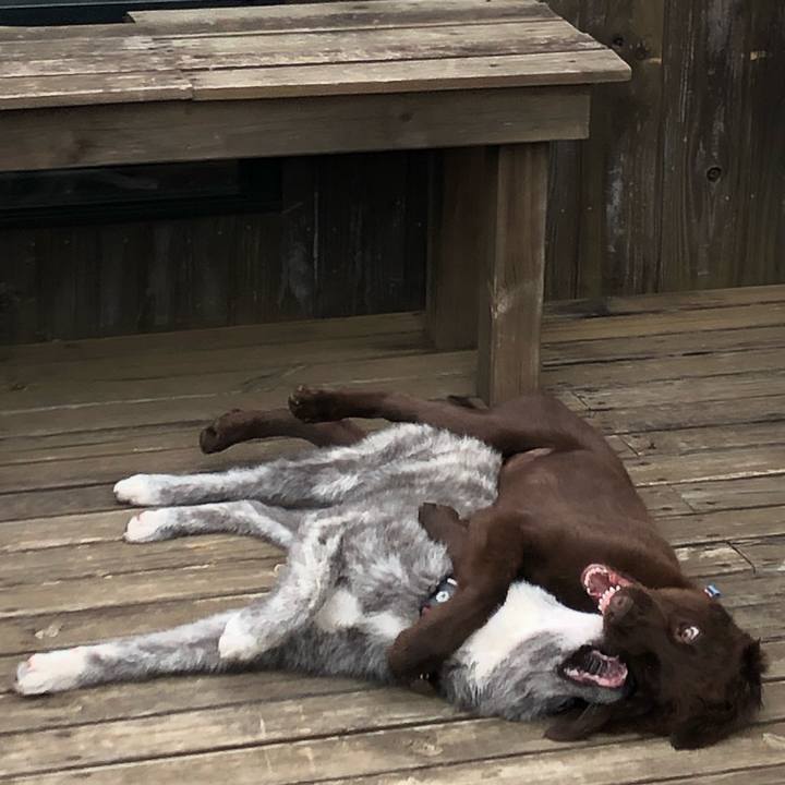 D7cc5f36 3b15 41c7 85bd 54b663fe5365 1557716719847