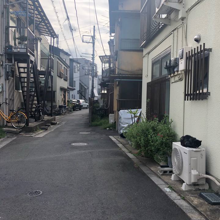 D7ccb97f 0345 4686 b17c b3a81ec64842 1568467197810