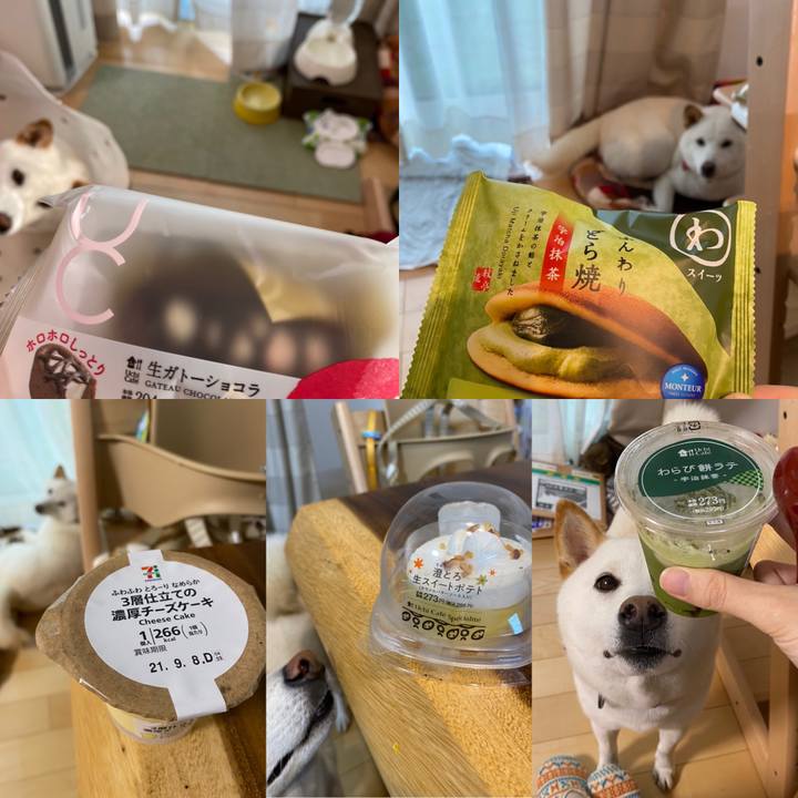 D7cccf38 39dc 4579 9010 51c90e8e8da6 1634348813787