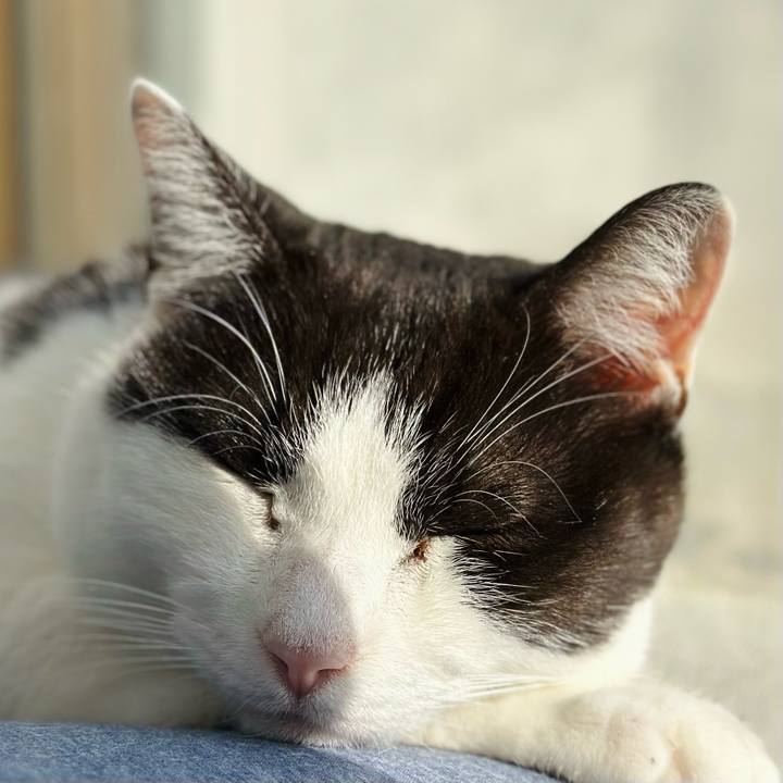 D7ccee4c d333 4ad3 86af f2d4386a81fc 1677892730102