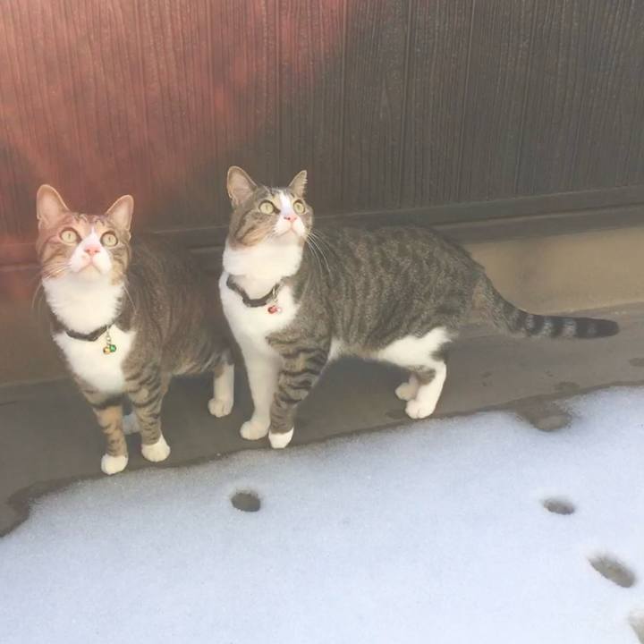 D7ccf02a e58a 461b 8690 9f8df6d12e3c 1709002697008