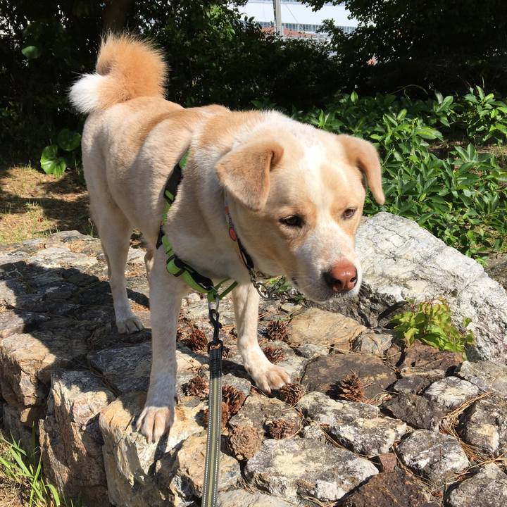 D7cd04a8 43c0 4418 912f 68da2ab1cde9 1526950221749