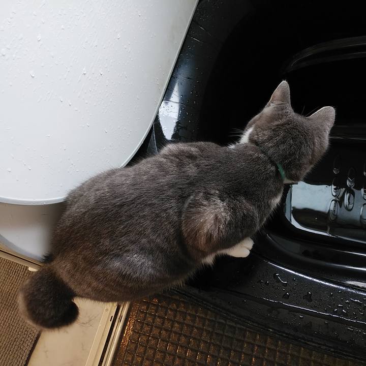 D7cd093f f0c3 4a60 8ba9 8e5782eb1c8b 1575596316797