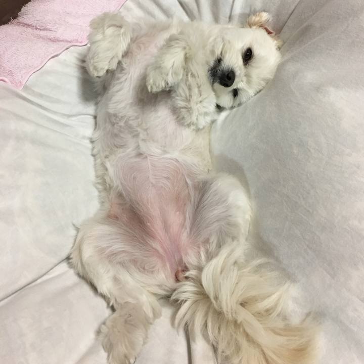 D7cd2110 ccde 4e36 a00c b27de7d33388 1522756172694