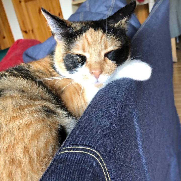 D7cd35dc 512f 47ef 805c af665398ccbb 1528422447971