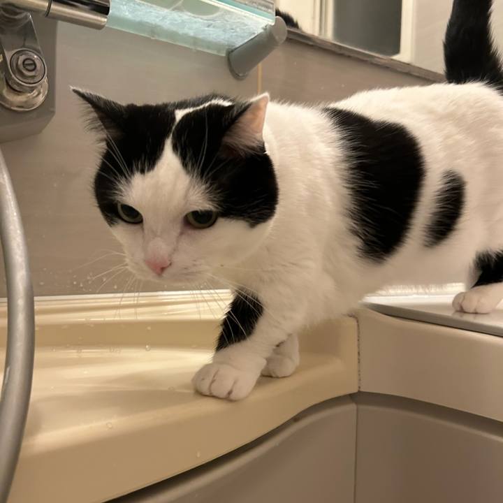 D7cd3e71 2184 4a60 8745 b1491cddd0fe 1773615196957