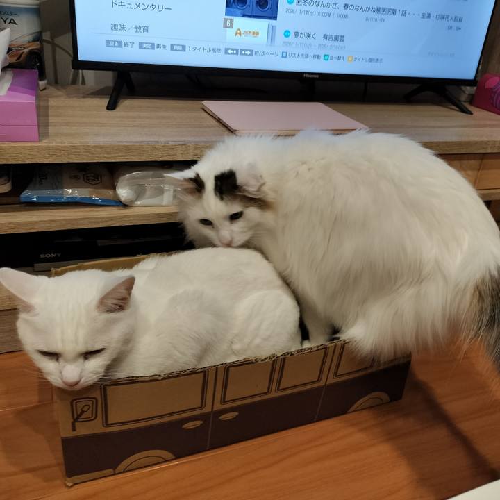 D7cd9088 b637 48d2 92c7 866857469a11 1768650715364