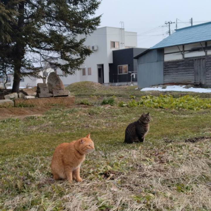 D7cdde64 70b0 4a08 b29f 60fcc72b14ae 1709183506126