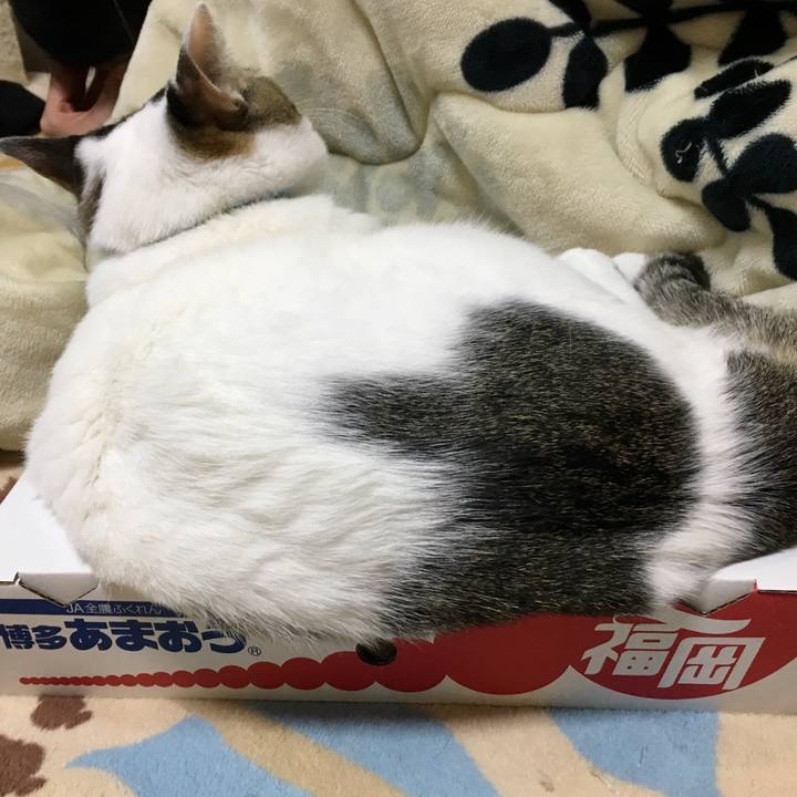 D7cde22e ac58 49f3 9846 2495b814054a 1519199872889