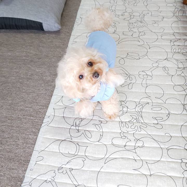 D7cde3ce 4142 44ef b788 04d7ad19f010 1569416439135